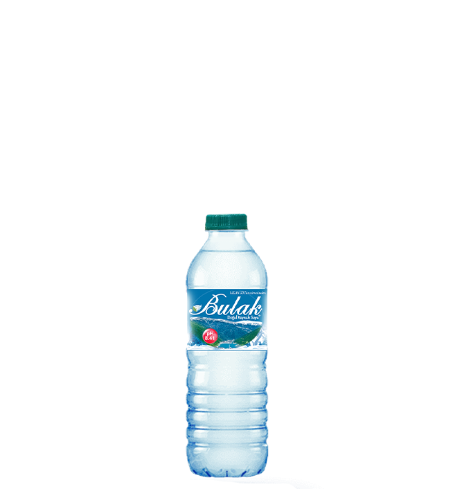 500 ml Pet Şişe